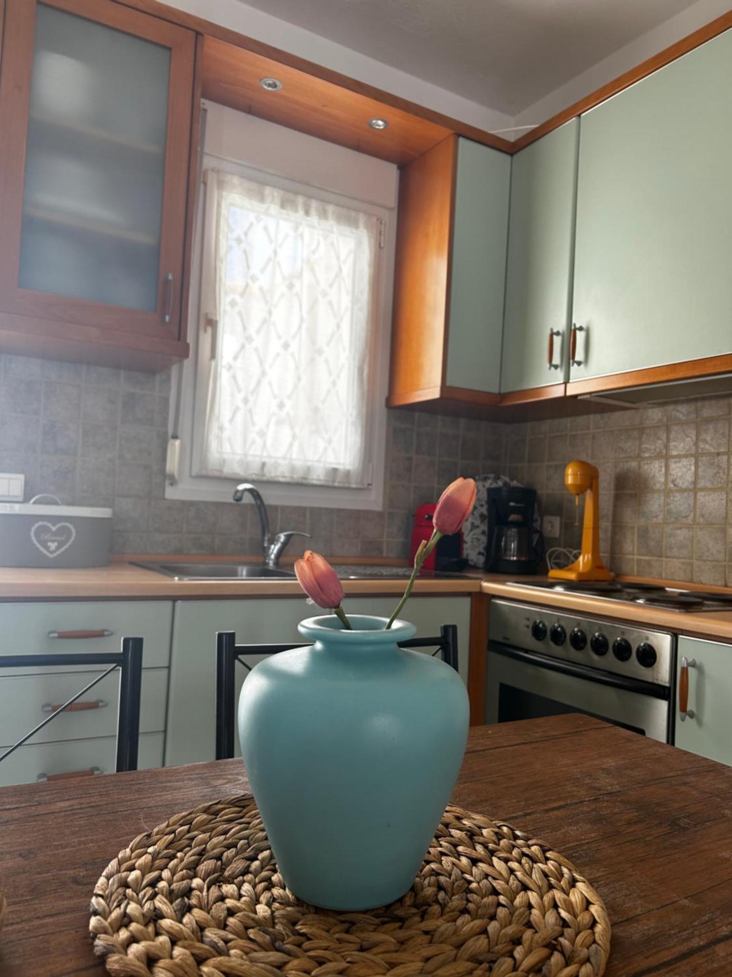 Perfect Hospitality - Elenas House, Nikiti别墅 外观 照片